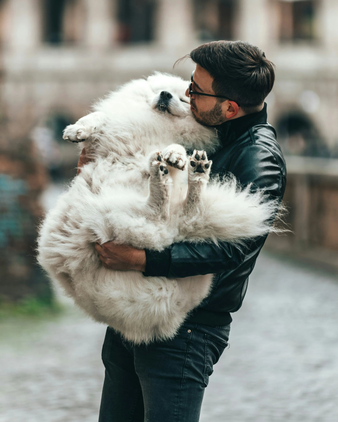 Is your dog single or double coated? (And why it matters)