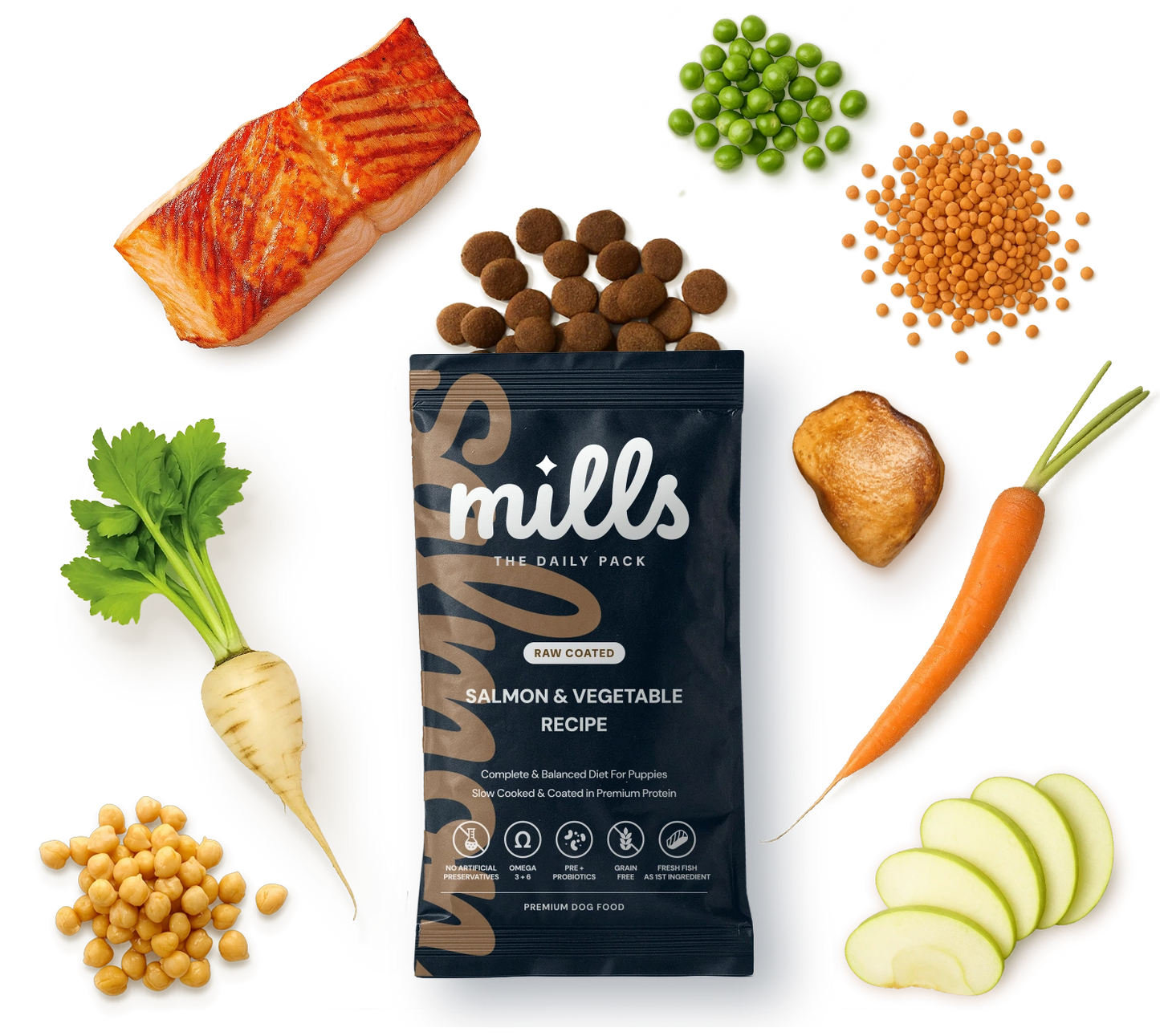 Salmon & Vegetable