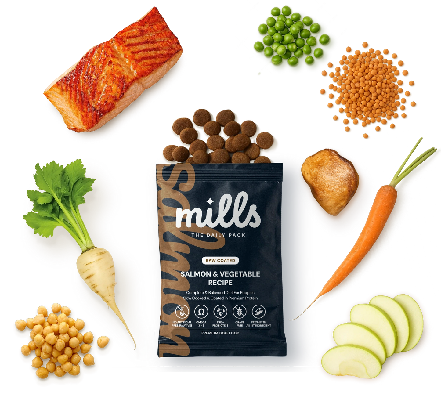 Salmon & Vegetable