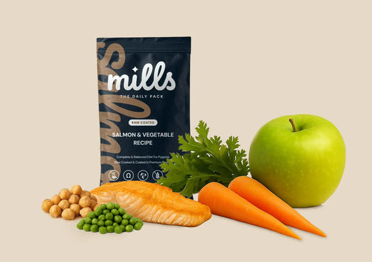 Why We Call It Magic Daily Packs Have It All