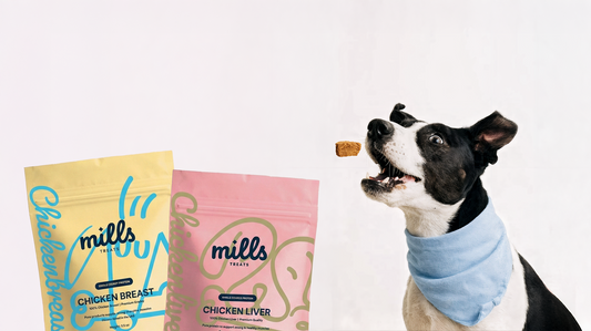 Introducing Our Single-Ingredient Treats: Because Treats Should Be As Healthy As Mealtime