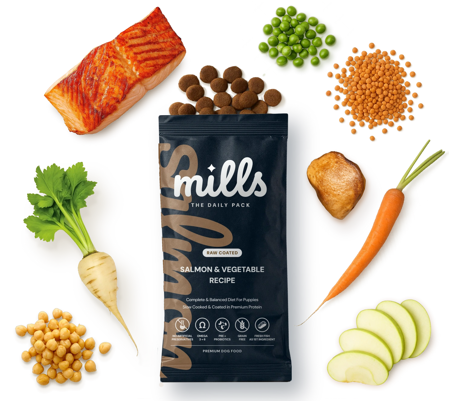 Salmon & Vegetable
