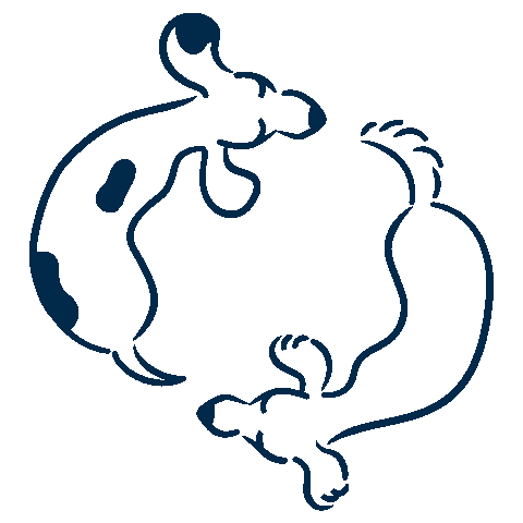 Customizing &lcub;Q_dog_name&rcub;'s pack....