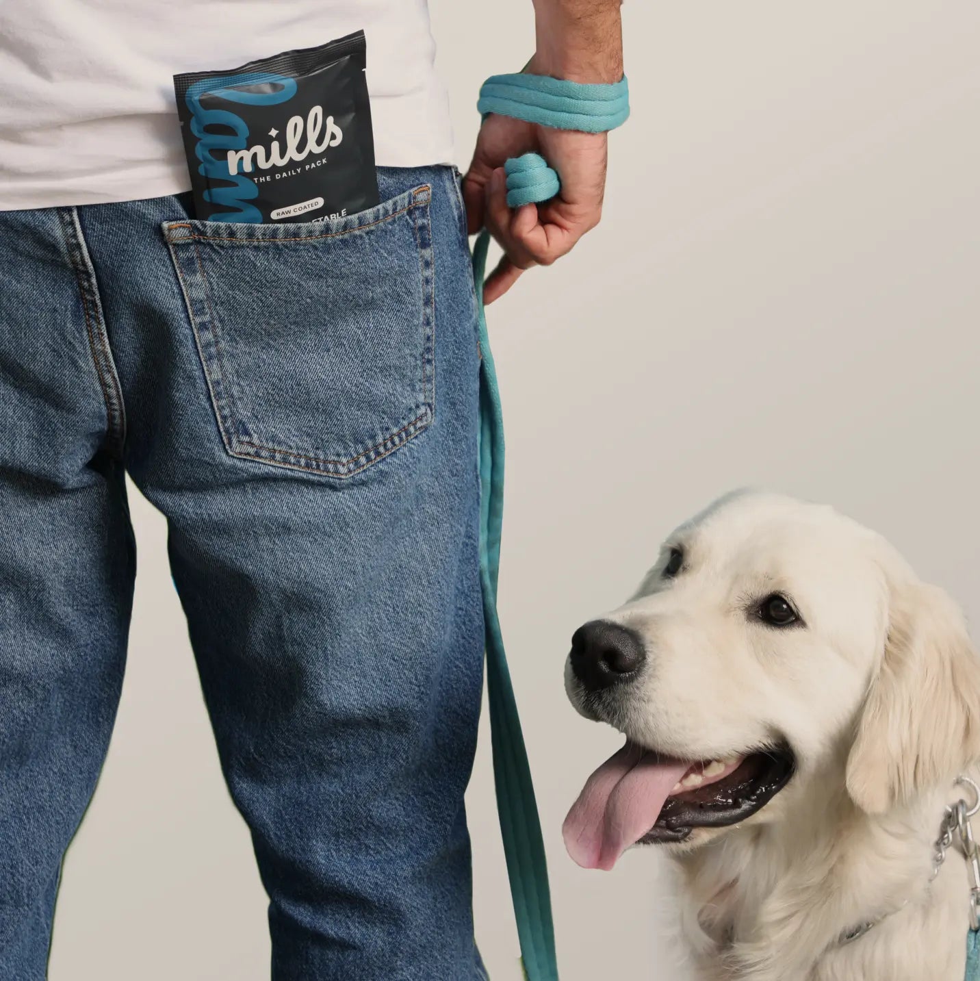 Customized for your dog